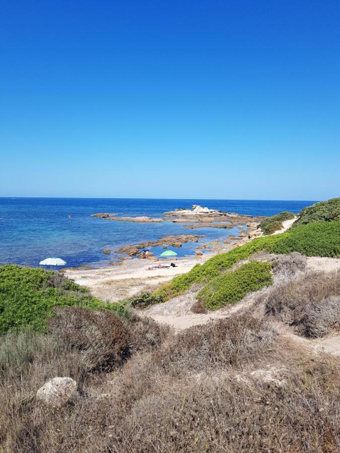 מלון ריולה סארדו L'Agrumeto Segreto מראה חיצוני תמונה